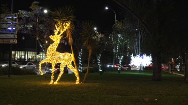 Empresa Não Cumpre e Há Menos Luzes de Natal