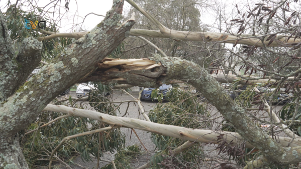 Período Crítico da Tempestade Oriana Começa na Tarde de Hoje