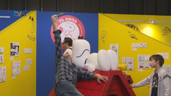 Peanuts - 75 Anos de Tiras no Amadora BD